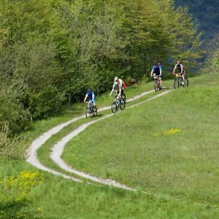 - Villetta Giardino 307 - Ferienwohnung Am Gardasee Mieten Lejlighed